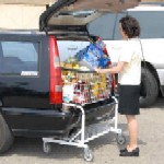 AutoCart Heavy Duty Folding Utility Cart AC2000